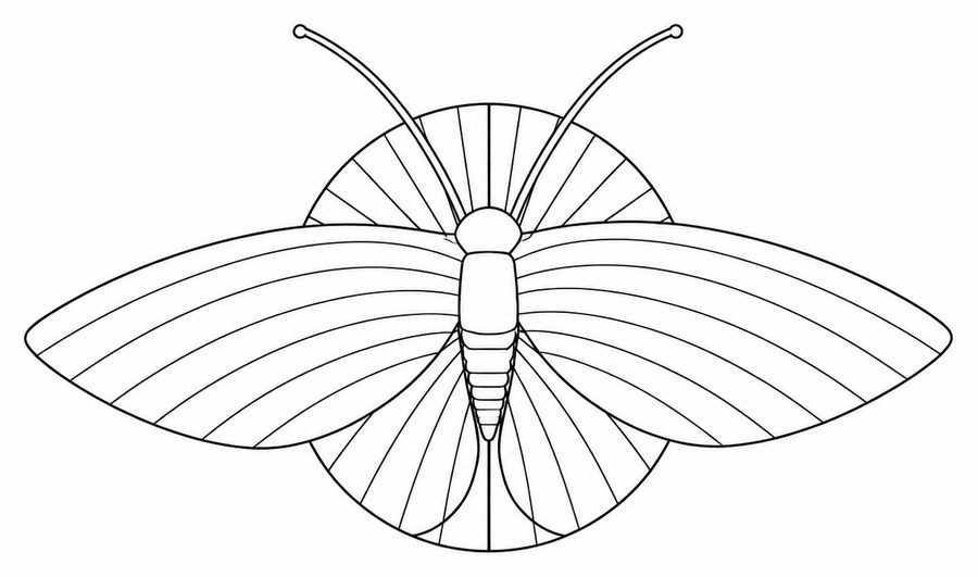 Strichzeichnung der Maismotten-Wandleuchte