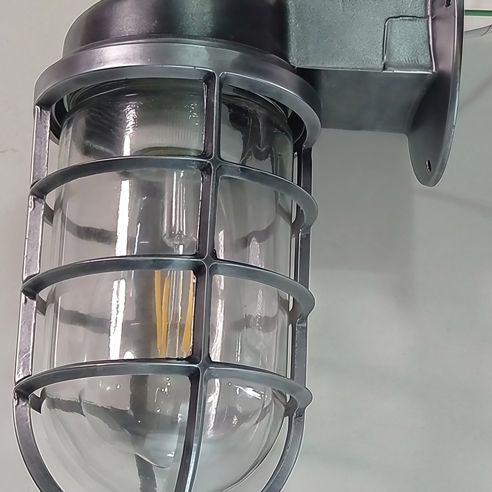 Patnox Clear Glass Wall Sconce Glass Cage Detail