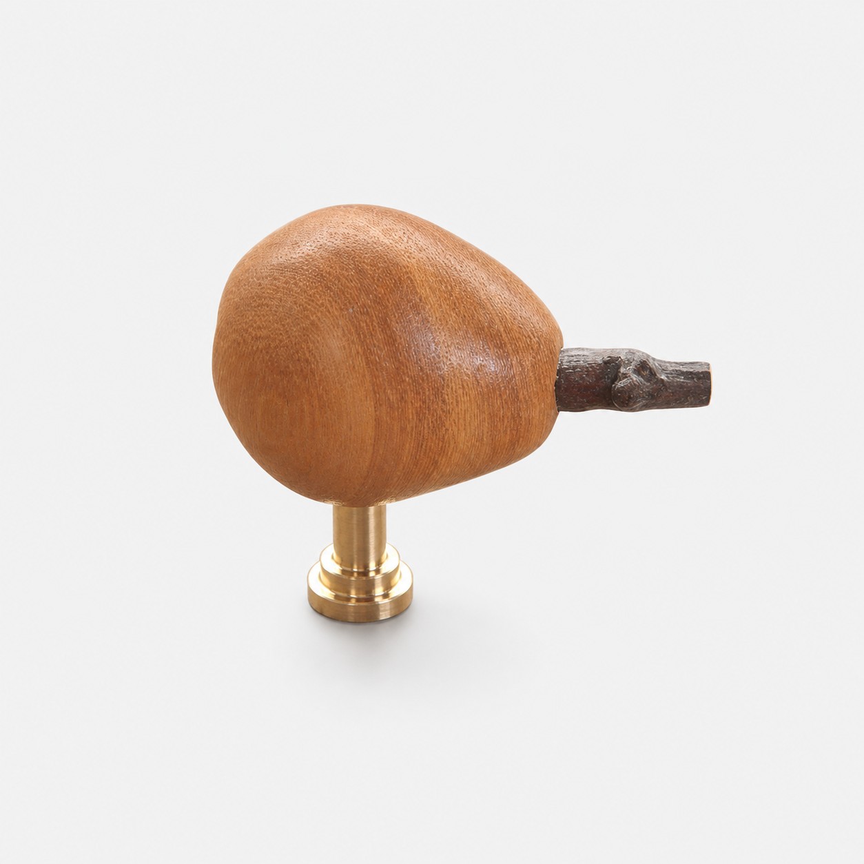 Loquat with brass base