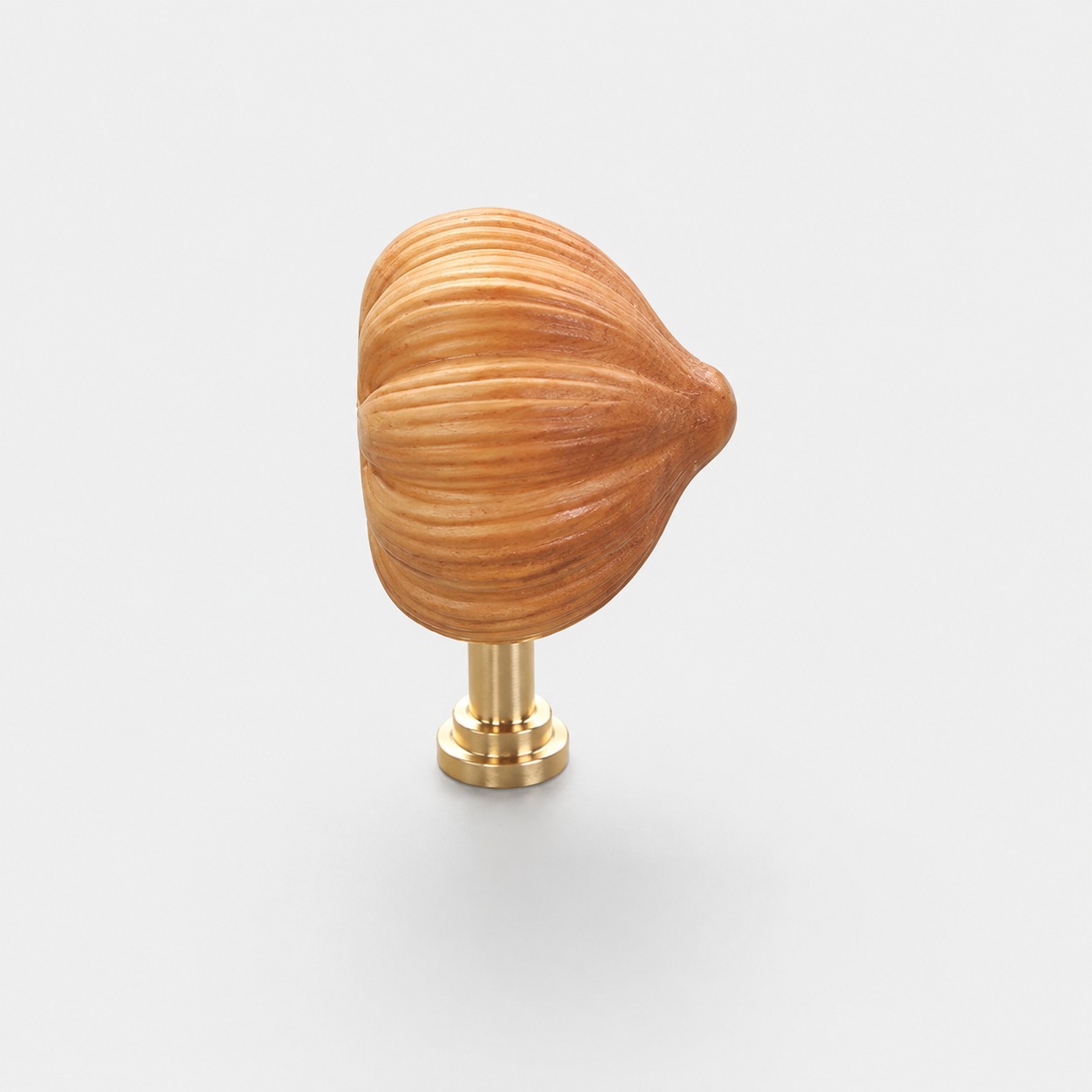 Garlic with brass base