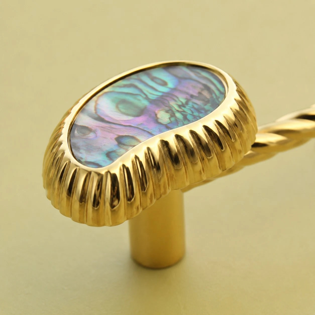 Close detail of abalone shell and ribbed brass cabinet pull