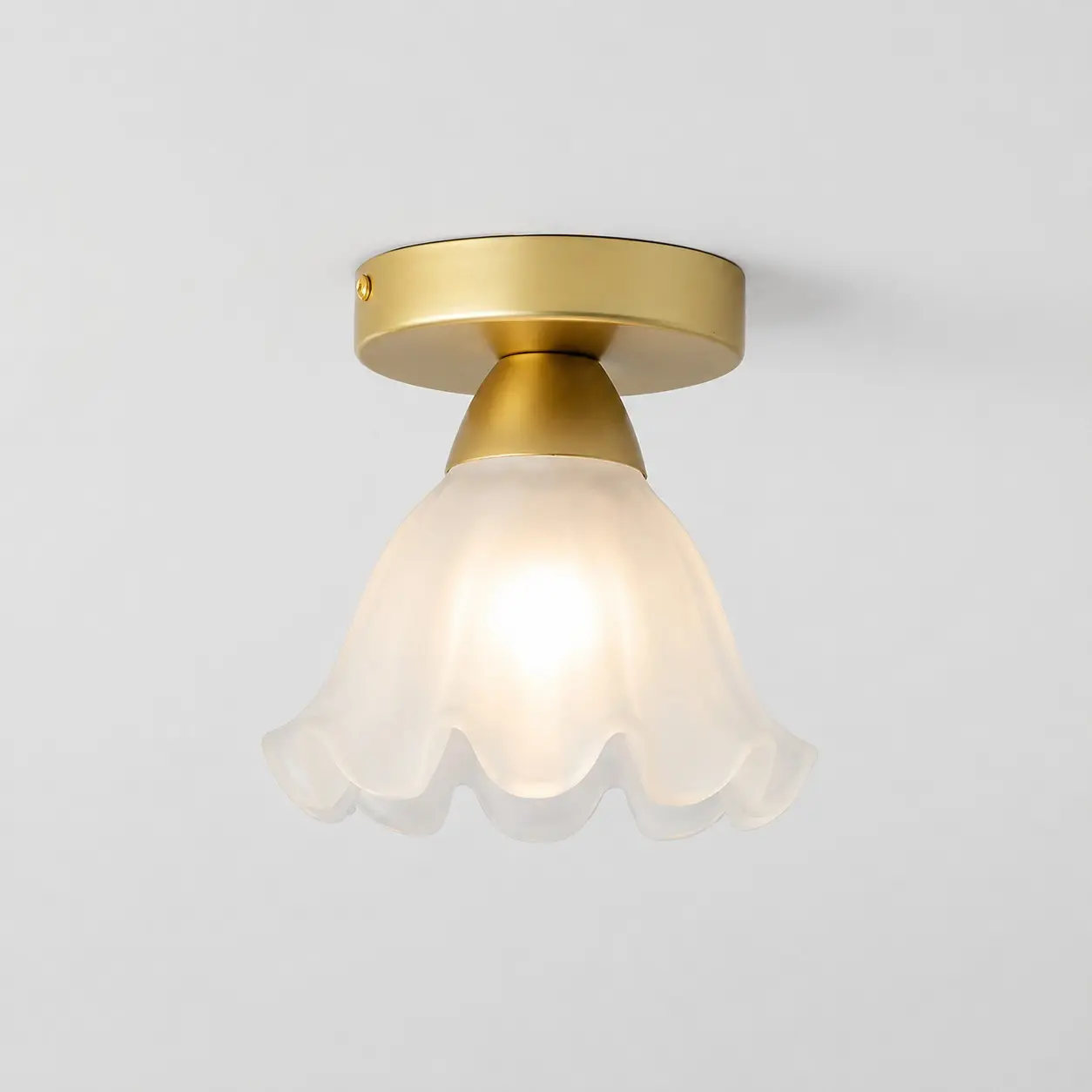 Plafonnier en verre et pétales de fer