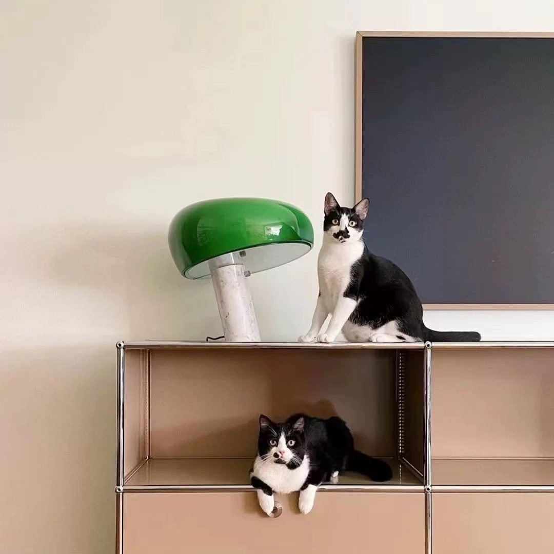 Grüne Marmorlampe auf einem Wandschrank in einer Wohnung
